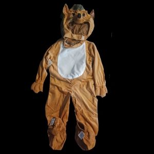 Halloween Costume Hedgehog